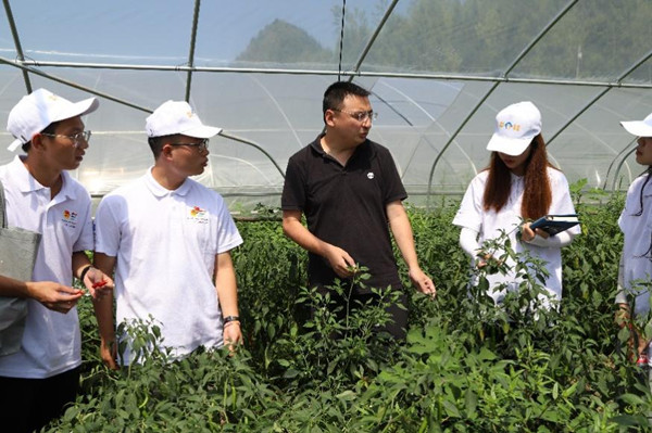实践团参观蔬菜大棚。bw西汉姆联中文供图